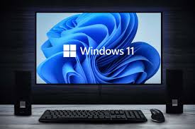 Microsoft Windows 11 PC.